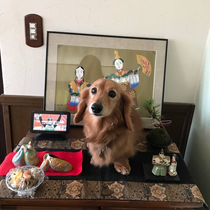 5323968d 9e5f 4246 a3db f61c5f607f5a 1583193729683