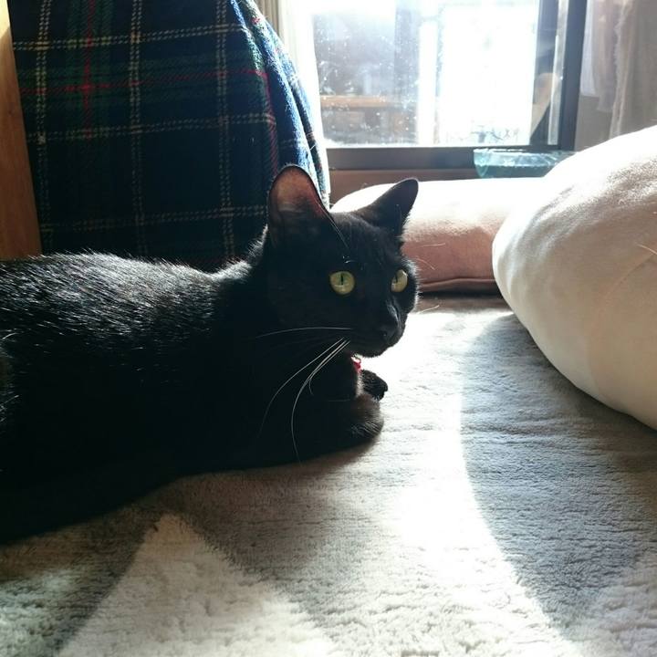 5323ab7a 03c8 4ca6 9e78 55660beb95a8 1511411520866