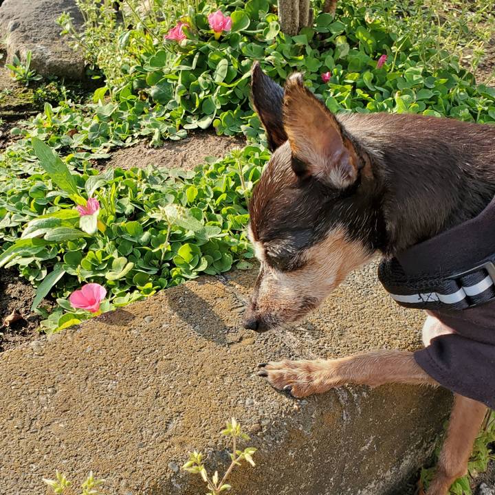 5323d1ad c4c0 4d0f 814e 8d7223b0c122 1710587895259