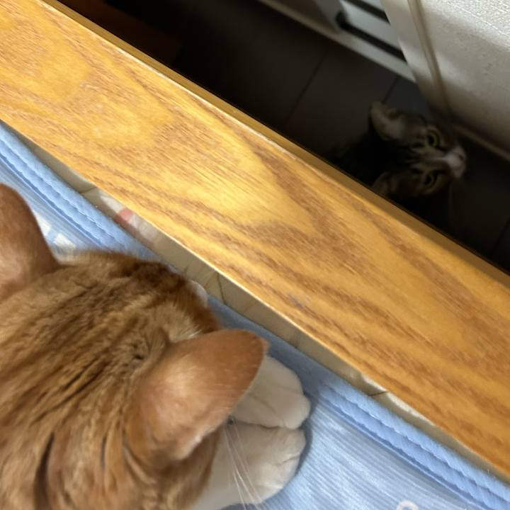 5323e15e 38bd 43ab bce8 a28aef0baaab 1758411791180