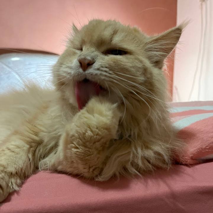 5323e860 4b3f 4d99 9201 1237ed921197 1766185824516