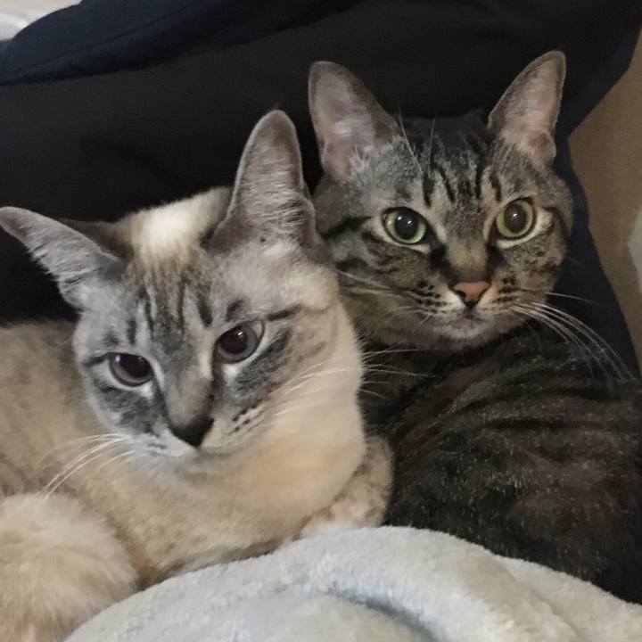 5323f8ab 6e98 4748 87ea 13f84a8c3dee 1577872768534