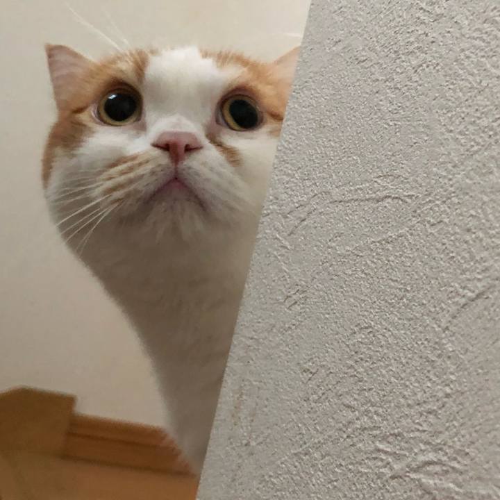 53240824 c738 4294 bc3b bfd0d2594e58 1653602225741