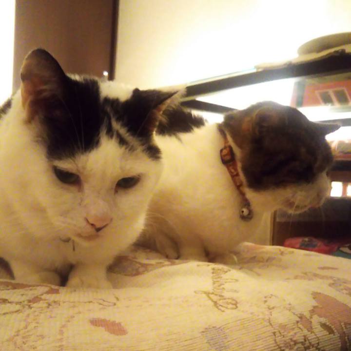 532408e0 f54e 488a ad81 084d4b2f7b0f 1556029076086