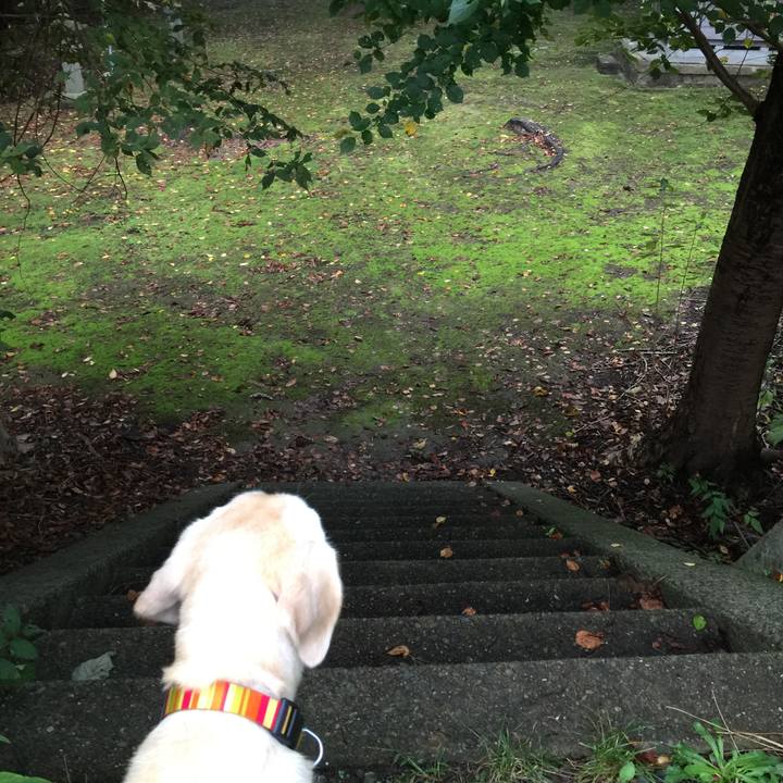 53241573 6b14 4dc9 abe4 cab3accee2f2 1508191910914