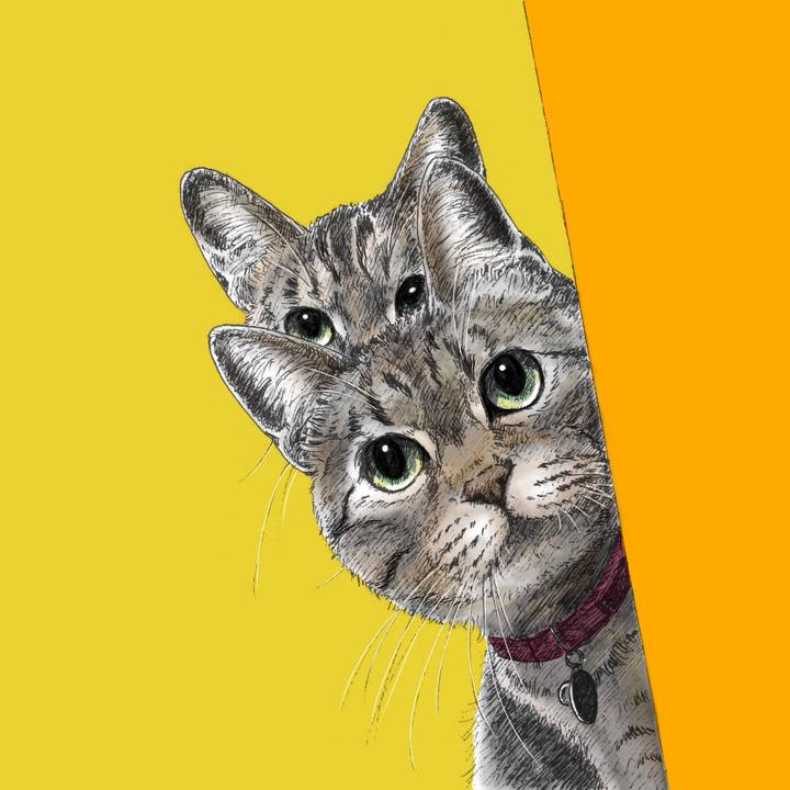 5324387d a8fa 4914 8b51 ae0b08e7c537 1568295735591