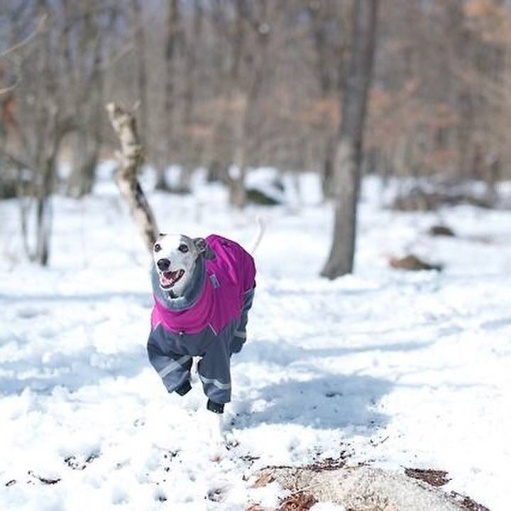 532449d9 e9da 41c0 98bf 72b738dd5454 1520074089364