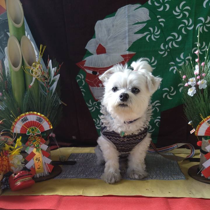 53248441 8583 4880 85e4 f4a6093e335e 1736772454881