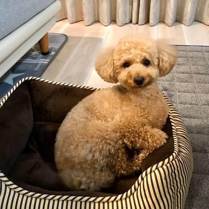 5324b31a 049e 4f60 9e8d 1f02d2f3ea98 1589292392383