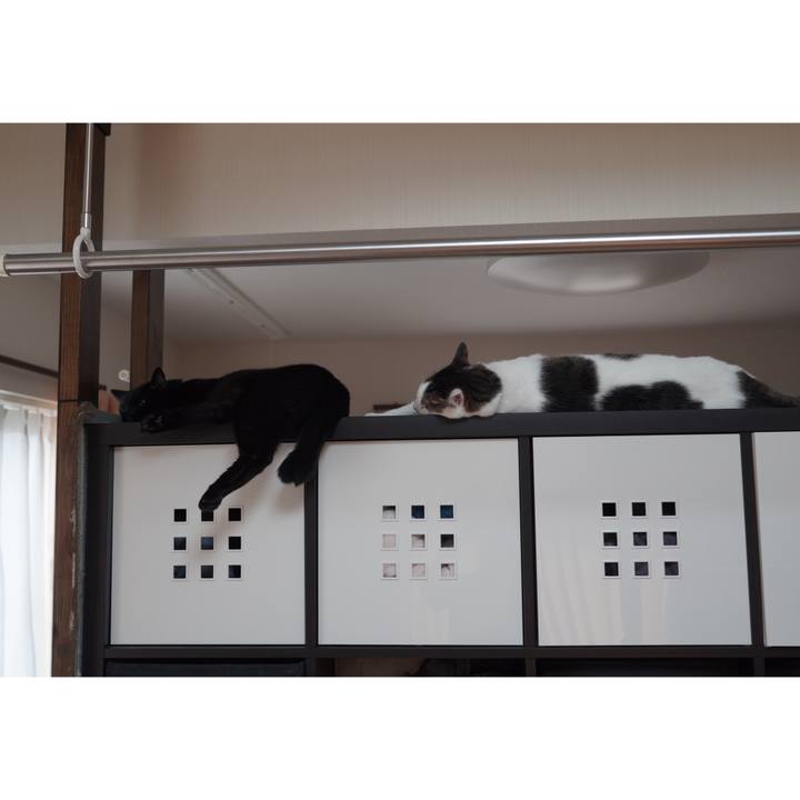 5324b948 f598 4d1d 820d 7fa6b28157df 1596466213382