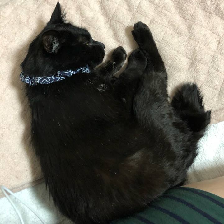 5324cbe0 fe26 494c 8589 a617b70de430 1554381256431