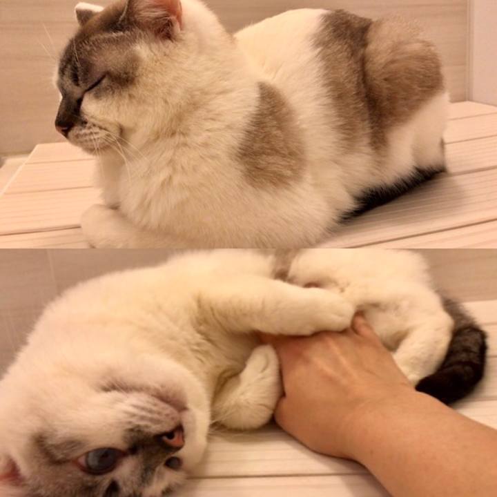 5324e456 1f57 4329 b004 08f240cd2535 1550570543120