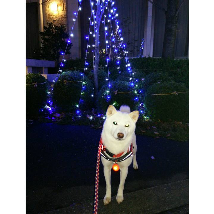 53255561 73cf 4809 a36d 0dceb796061c 1606387835722