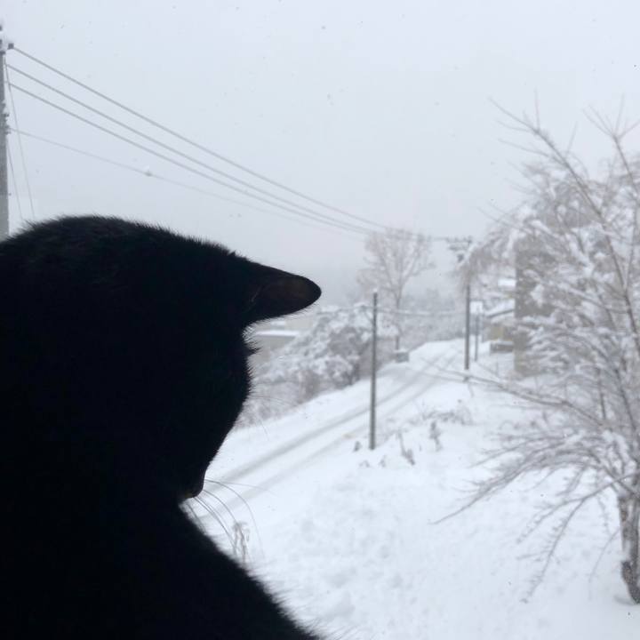 5325669a 0250 424b aca9 2f13cdc91ffc 1671757641151