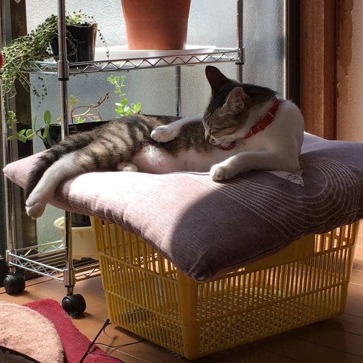 5325f287 ad5a 464e 823d 383a3cebc062 1521986770626