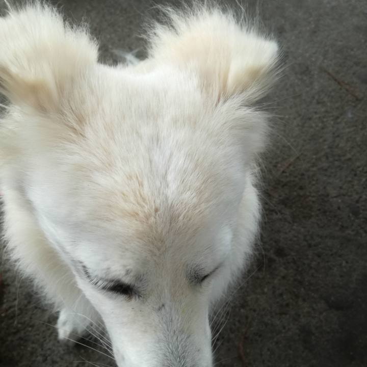 5325fded 1e45 4321 84ee a05a7036fddc 1507769228218