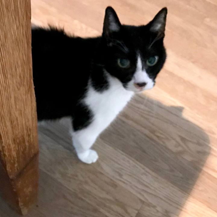 5325fe9d d80c 4fc5 bdc4 6e1f8c609456 1537502821591