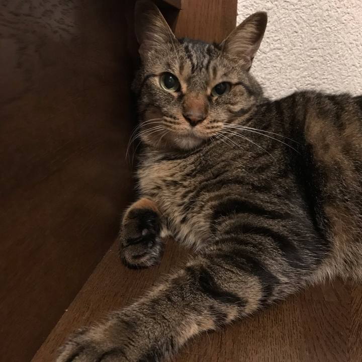 5326412b 43d7 4662 8ce3 d727e078d540 1663678482557