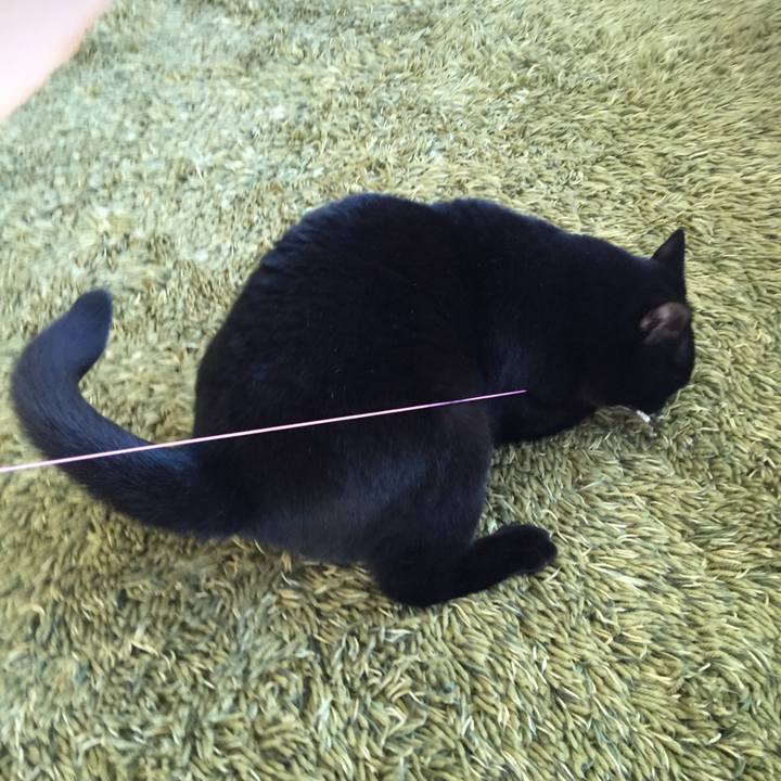 53269b67 e7a0 41cc 92f4 14bf7e8628af 1512260328845