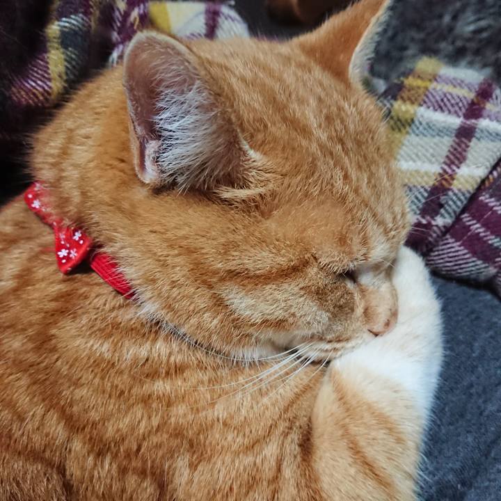 5326a27f 8168 44b0 9ff5 90c9deb5260b 1578872657785