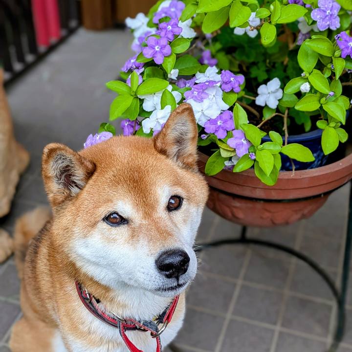 5326bd97 2826 4d1c 8374 8b56f37cc8d2 1747298219632