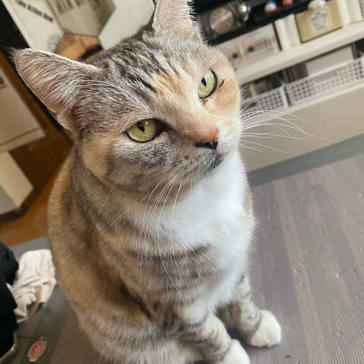 5326bdae 3324 4014 a3b4 5179d668813b 1646961720804