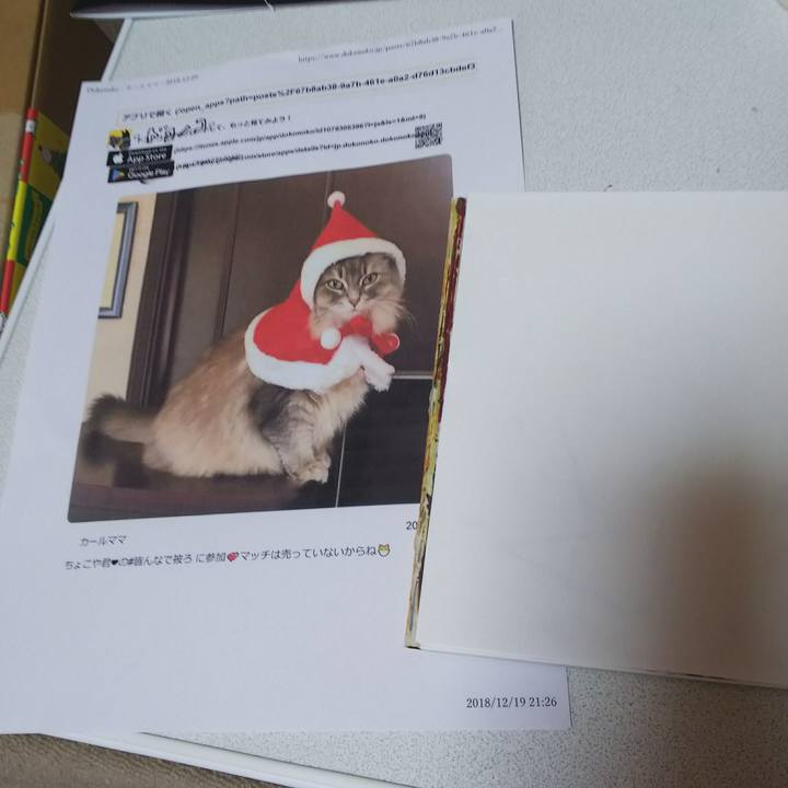 5326d2da 17c5 40de 9be3 6b2c808bc828 1545618387119