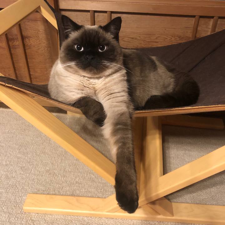 53276630 6a09 44f4 977c a937ddd15e10 1611322777545