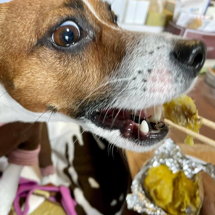 53276b3a 0582 474c 8090 0d6dd43ee0fd 1644127858091