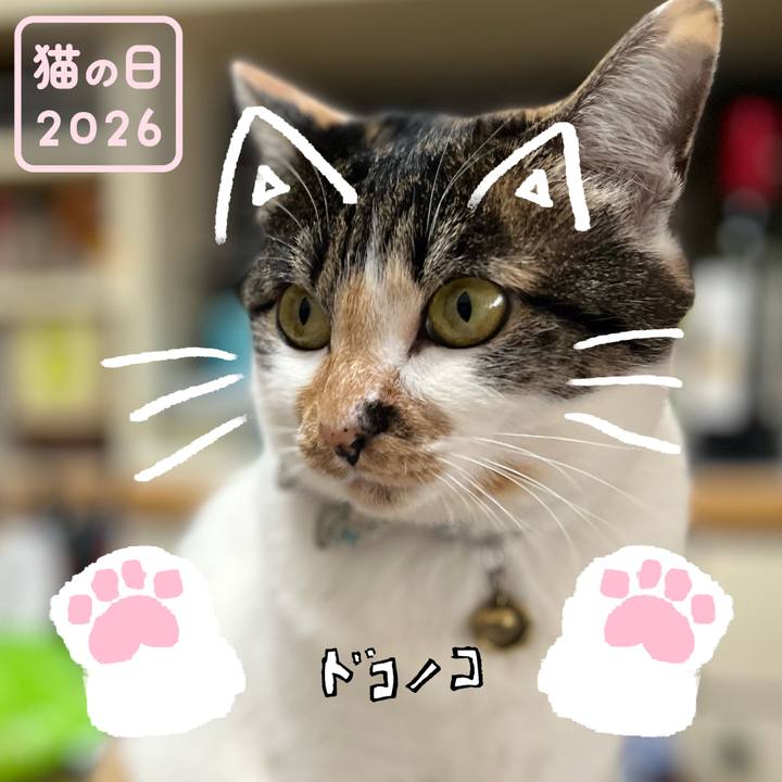 5327707c 547a 4715 8d42 658753572c37 1771720107430