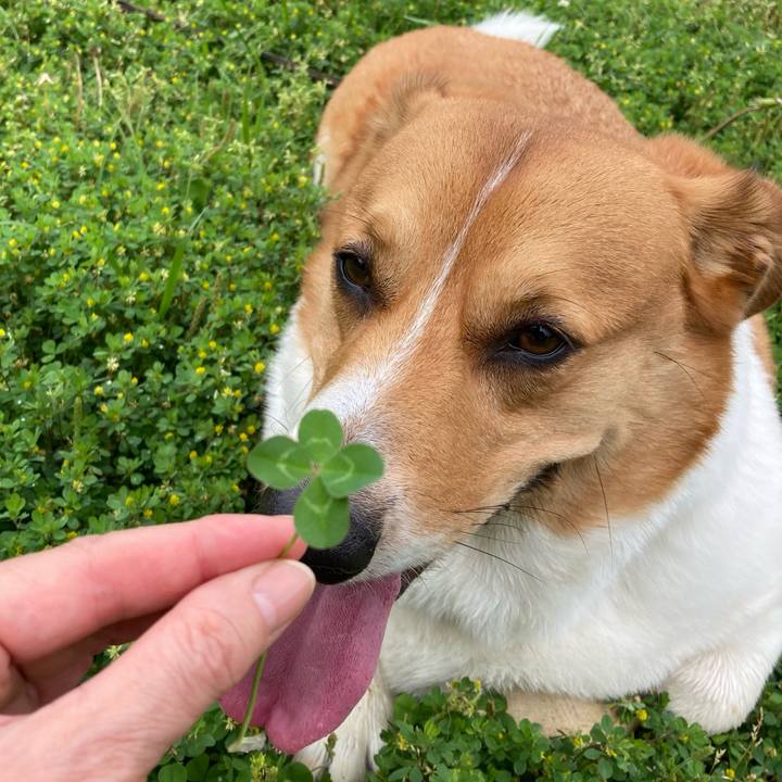 5327851f 7530 432e 80d0 756dadd7fae2 1714601087438