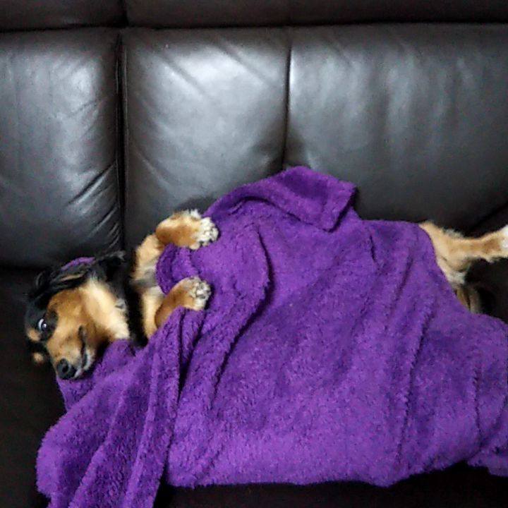 5327a0a2 9ae5 452e a4ee 9dfea7df7dd1 1585897552964