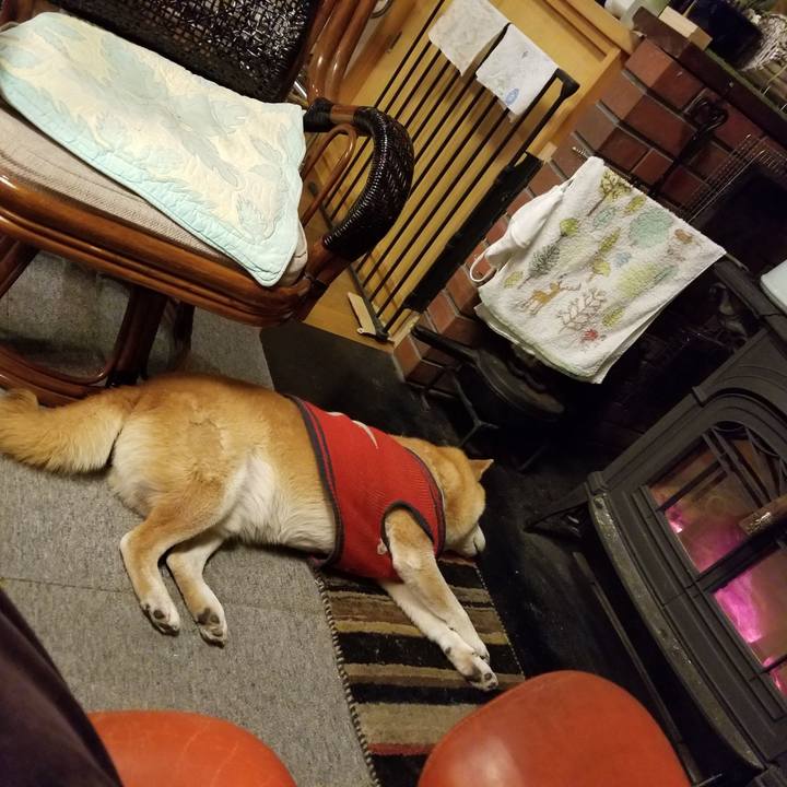 5327af4a 00ad 4214 83a7 cf2a7e3b0601 1610267920121