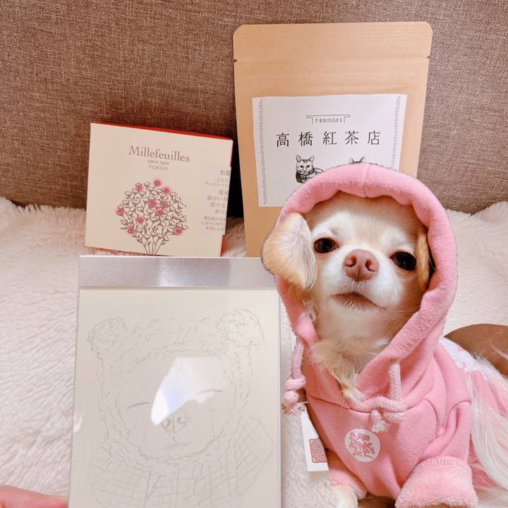 5327ba1b 84b6 432f 87c4 f58975e7272d 1670226780550