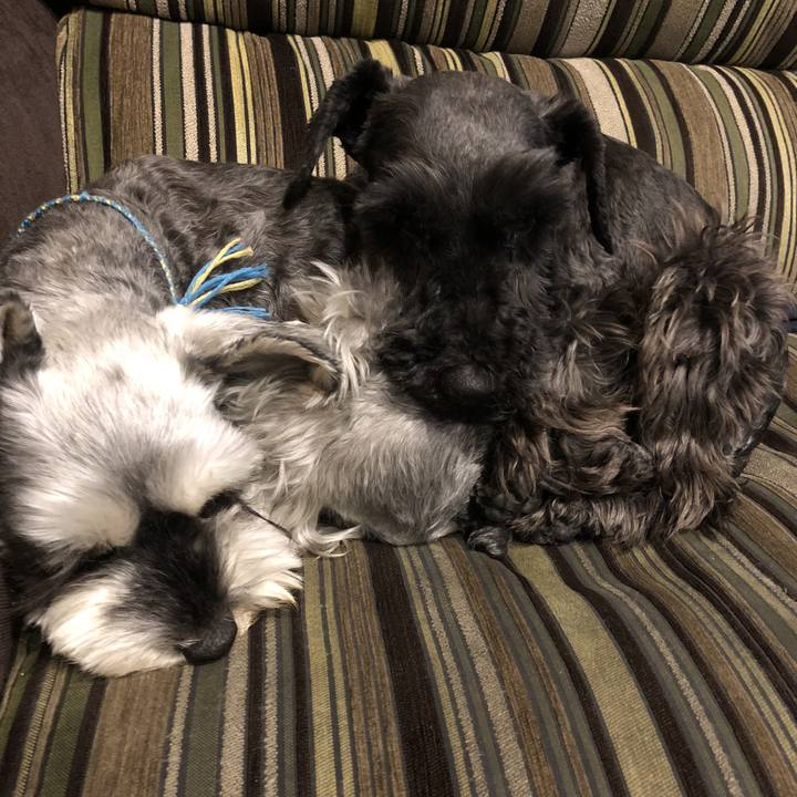 5327c95e d826 49f1 ba24 b503e976ef64 1523658335344