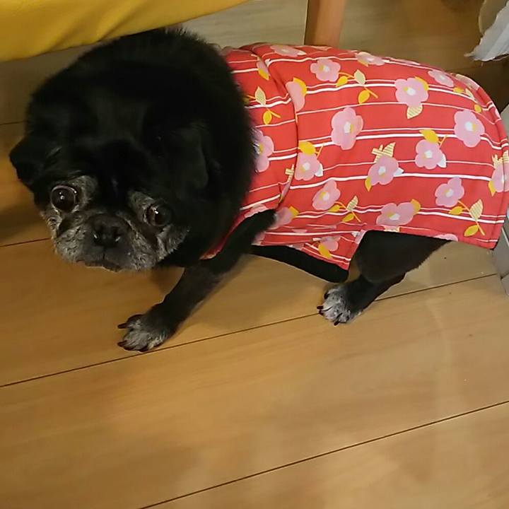 5327cbcb b02b 437f 93d0 62579df6b8ee 1548938864838