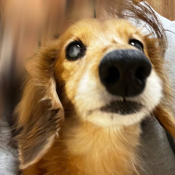 5327e687 91fd 4a56 a584 2dfc9ff69af5 1652789729471