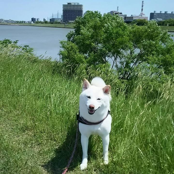 53280fbf f028 4a11 9deb fa0f56276a7e 1526004080344