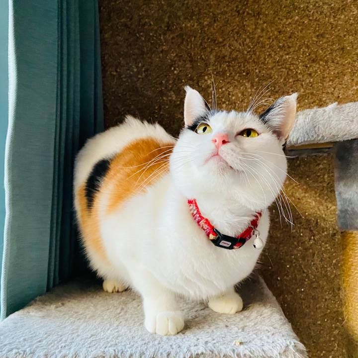 532822cd 170e 448c 8e28 064d83111fee 1667773326482