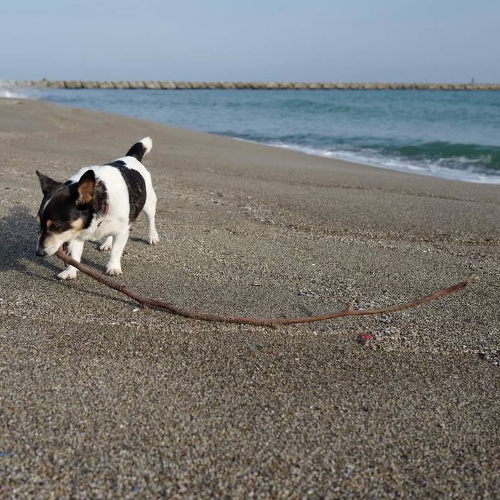 532855bf 01ed 4882 b554 bc9700959062 1539142457658