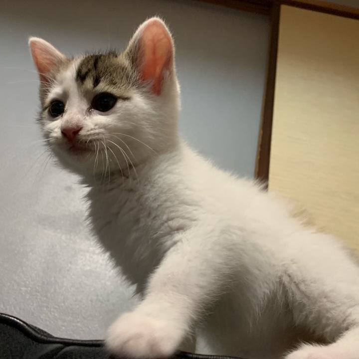 5328758a 1c5e 4766 9281 34eb7f394f9e 1590851224271