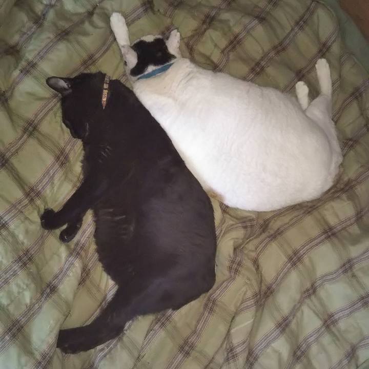 53287a12 d239 462b b535 170ddb62ccb2 1613949741065