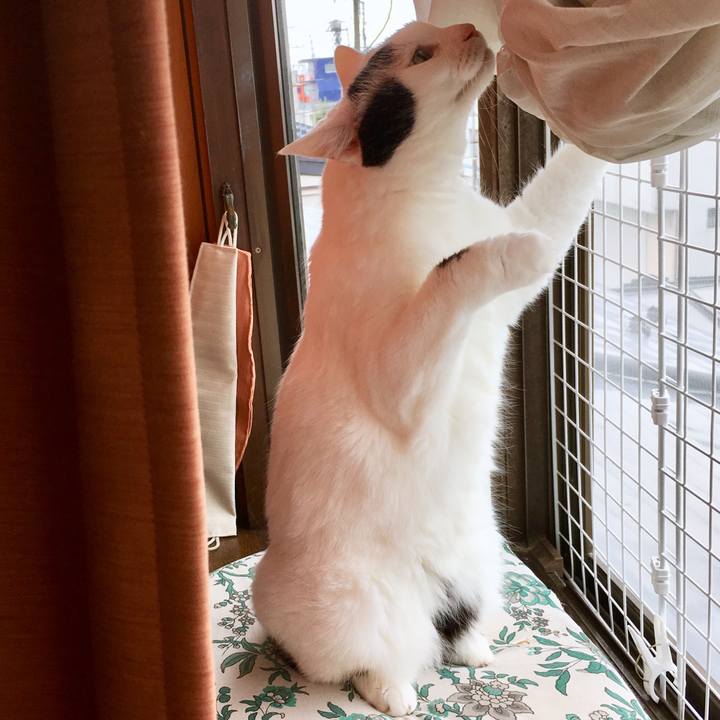 5328bf0a b38b 4d7b 9bca 47ef65582dcd 1566703982724