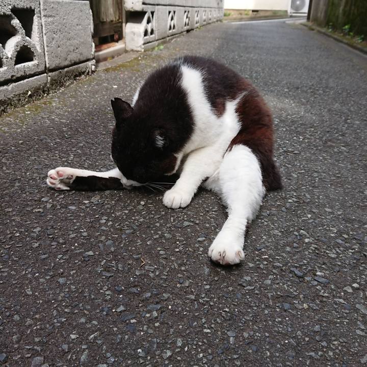 5328d123 4097 406b ad59 4416e0c57ad1 1688797545357