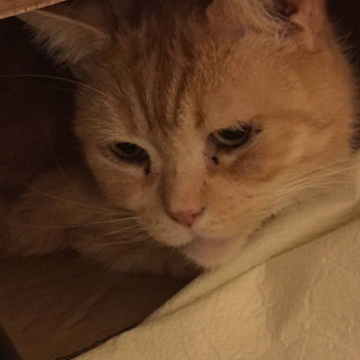 5328d741 92a3 4857 b172 96c39ace0f25 1555860143443