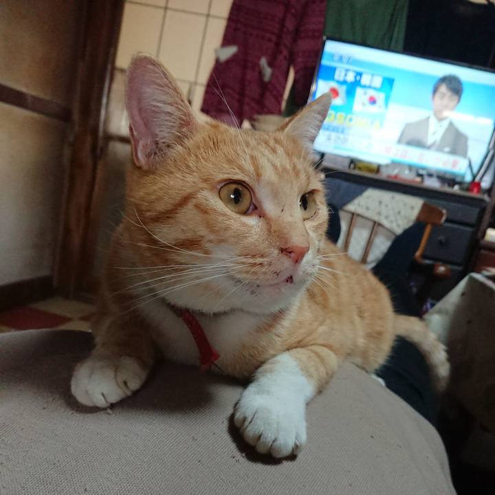 5328db31 db9d 47d9 8cd6 d849c9fc6bf7 1573883054438