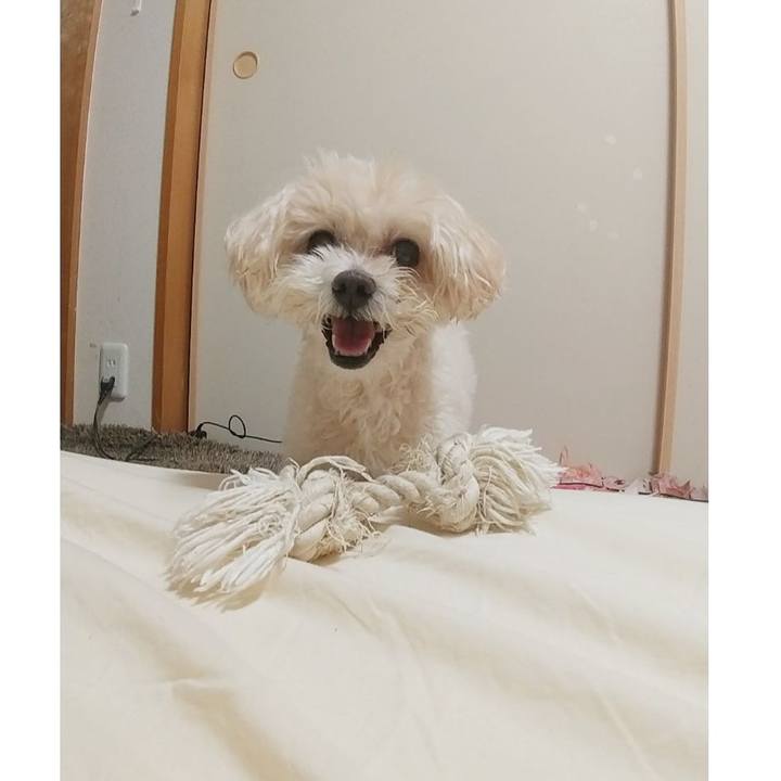 5328e56e 6461 4a5d b96e e8a49d682c0e 1656332338381