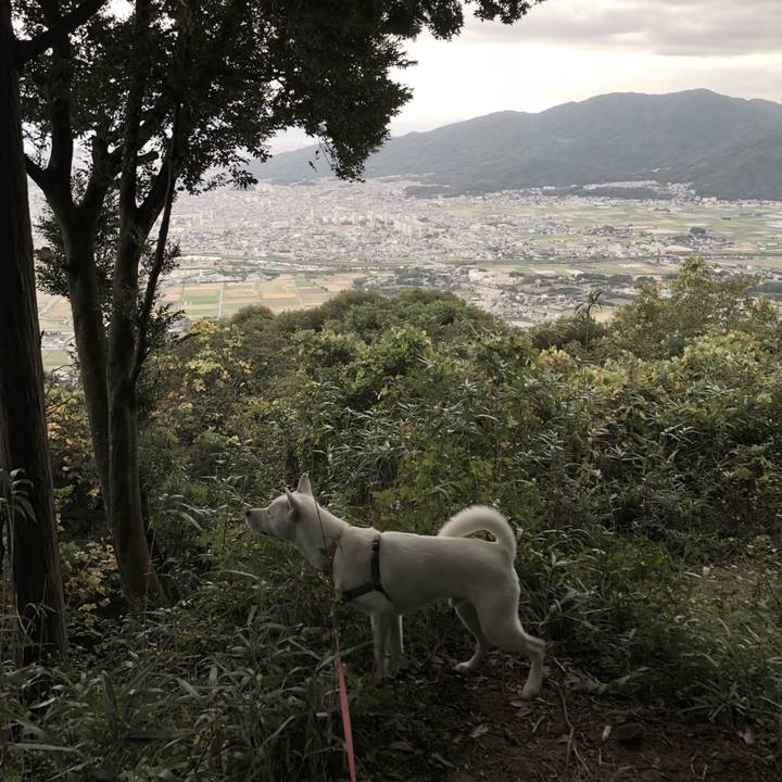 5329339e 511b 4c18 b460 be9b1f571f1d 1540689630448