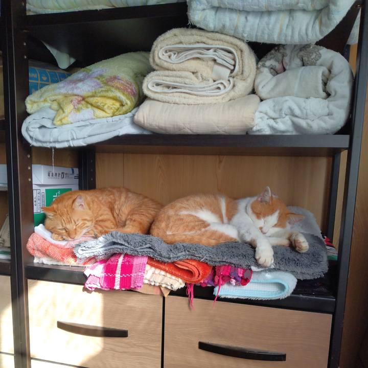 532943fc 5cfb 4175 bd91 93b9238e2ef4 1761294564850