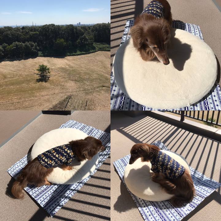 53294511 3c39 4c20 b8ad 8a409c64f029 1538443587374